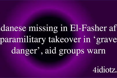 Sudanese missing in El-Fasher after paramilitary takeover in ‘grave danger’, aid groups warn