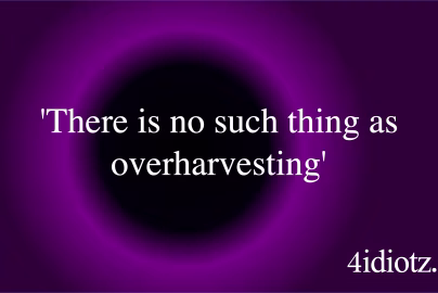 'There is no such thing as overharvesting'