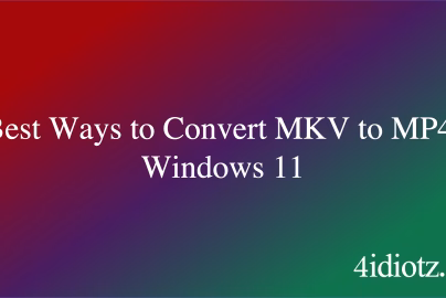 5 Best Ways to Convert MKV to MP4 in Windows 11