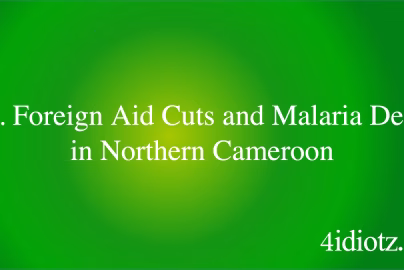 U.S. Foreign Aid Cuts and Malaria Deaths in Northern Cameroon